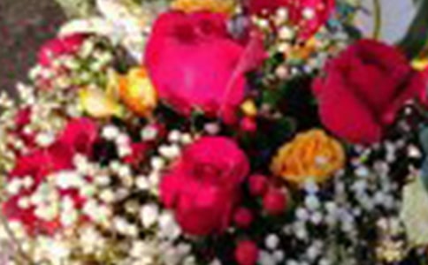 红玫瑰与白玫瑰读后感12篇