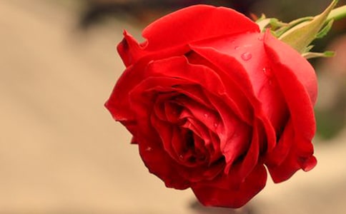 ����õ�����õ�塷�����12ƪ