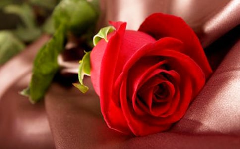 ����õ�廨��Ψ������