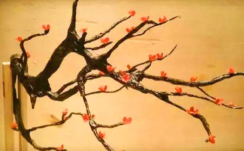 ��÷���꡷��ѧ��˼(15ƪ)