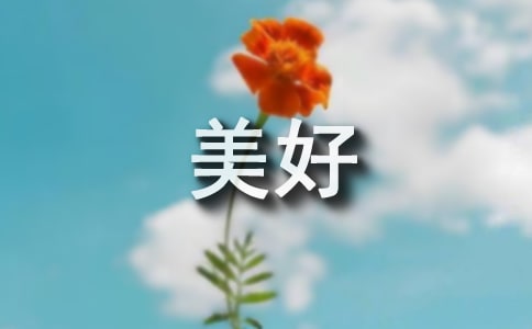 美好的回忆小学作文