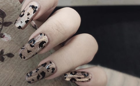 ����ѧԱ��ͬ5ƪ