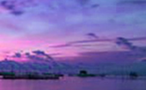 关于乡村美景小学作文5篇