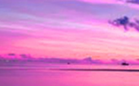 ���������������Сѧ����10ƪ