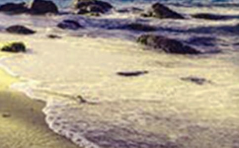 ��ѡ�������Сѧ���ĺϼ�10ƪ