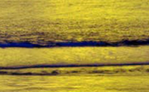 关于乡村美景小学作文合集十篇