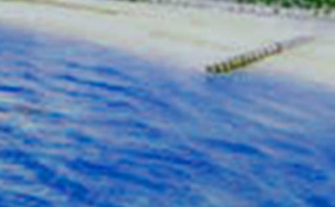 ʵ�õ��������Сѧ������ƪ