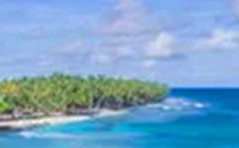 乡村美景小学作文三篇