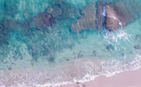 实用的乡村美景小学作文八篇