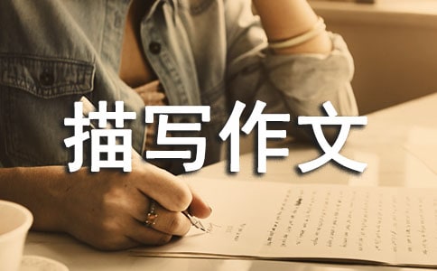 关于初三人物描写作文合集十篇