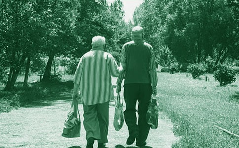 精选我的奶奶小学作文汇总7篇