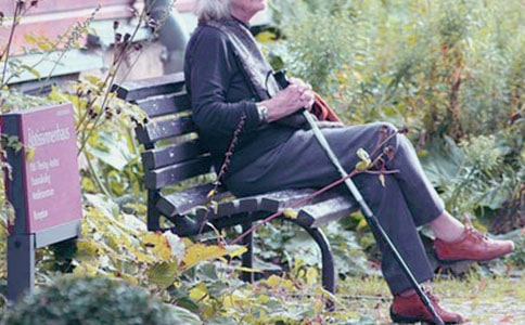 ����ѡ���ҵ�����Сѧ������ƪ