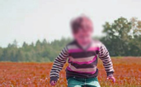 《手斧男孩》读后感(15篇)