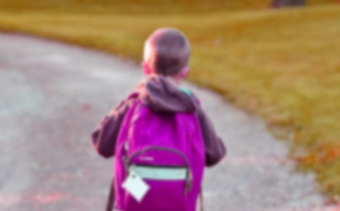 �������к����������