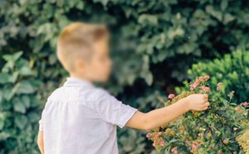《手斧男孩》读后感精品11篇