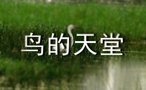 语文A版四年级下册《鸟的天堂》语文教案
