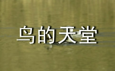 鸟的天堂语文教案15篇