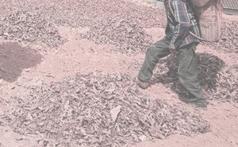 Сѧ�����Ը�ũ��Ϊ��