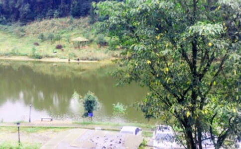 ��ѧ��ũ���ֲ߻���