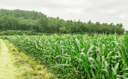 ũ����һ�����ռ�