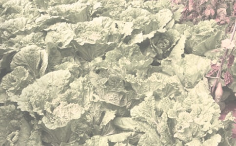 ũ�����ֺ�ͬ���ĺϼ�7ƪ