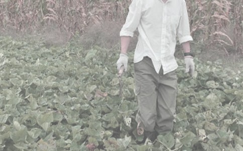 ����ѡ��ũ�����ֺ�ͬ3ƪ