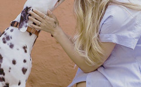 ��Ů�����ʵ���������