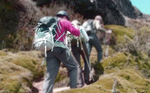 ������ɽ��Ψ������