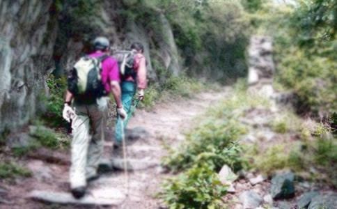 ����ɽ���Ľš���ѧ��˼����15ƪ