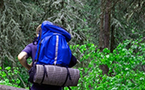 爬山五年级作文