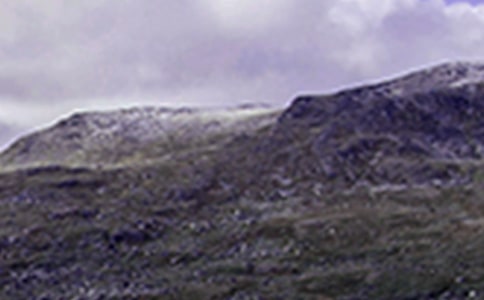 ��ɽСѧ����[��Ʒ15ƪ]