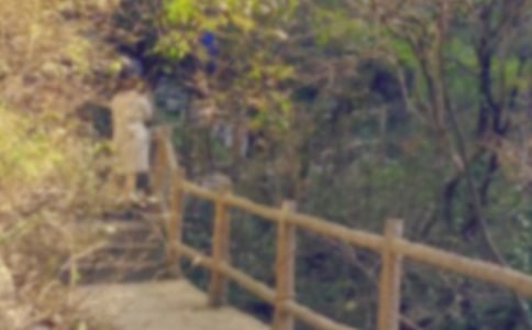 爬山五年级作文