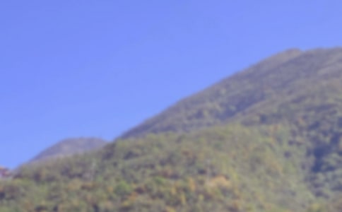 �ҵ���ɽ�����ռǺϼ�8ƪ