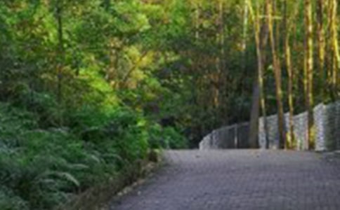 �й���ɽ�ռǷ��Ļ���4ƪ