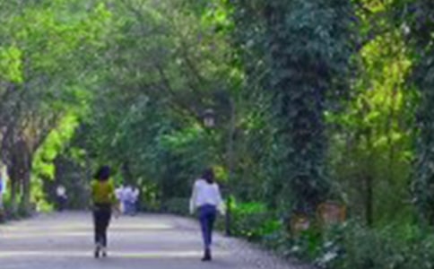 爬山小学作文(通用15篇)