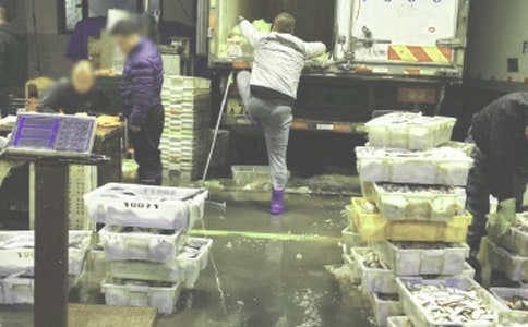 ʵ�õ�������ͬ��ƪ