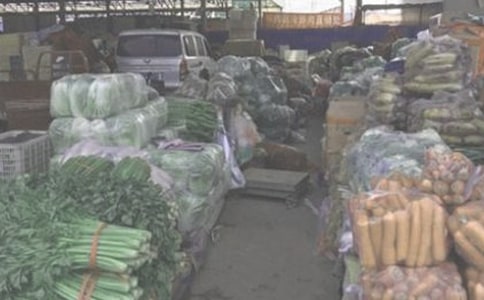 ����������Э����