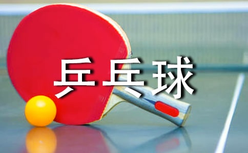 乒乓球协会比赛策划书