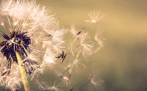 ʵ�õ��ѹ�ӢСѧ���Ļ��6ƪ