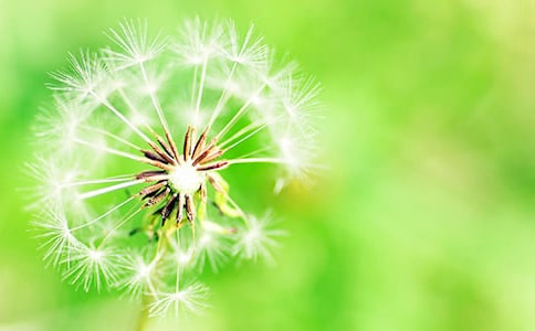 �й��ѹ�ӢСѧ���Ľ�����ƪ