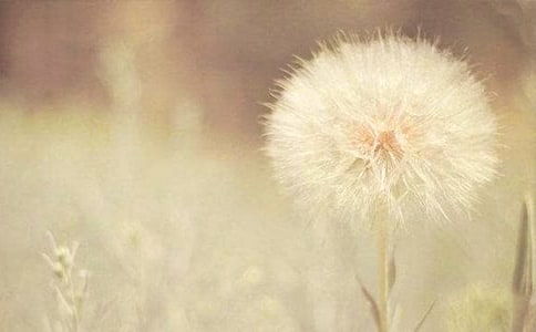 �ѹ�ӢСѧ���Ļ�����ƪ