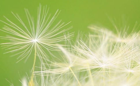 �����š��ѹ�ӢСѧ���Ļ���7ƪ