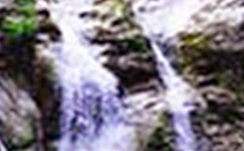 �������ٲ������(���15ƪ)