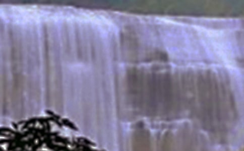 �ƹ������ٲ�����