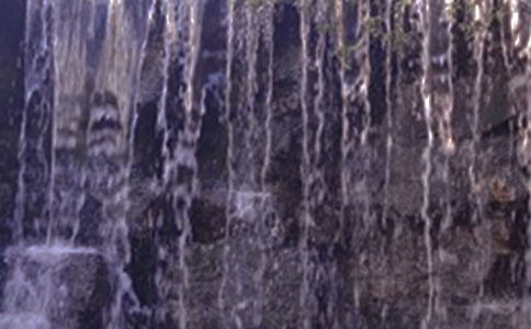 紫藤萝瀑布读后感