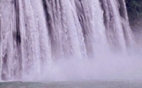 紫藤萝瀑布读后感13篇