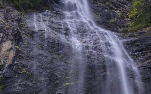 《紫藤萝瀑布》读后感