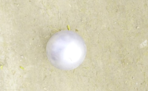 铅球加油稿【荐】