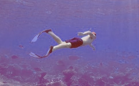 潜水钟与蝴蝶读后感