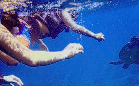 ����Ǳˮ����Ǳˮ��Ա��ͬ(6ƪ)